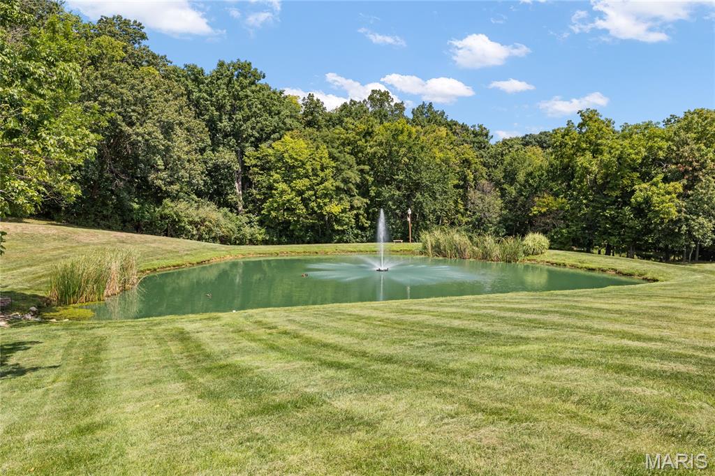 570 Patriotic Trail Property Photo 12