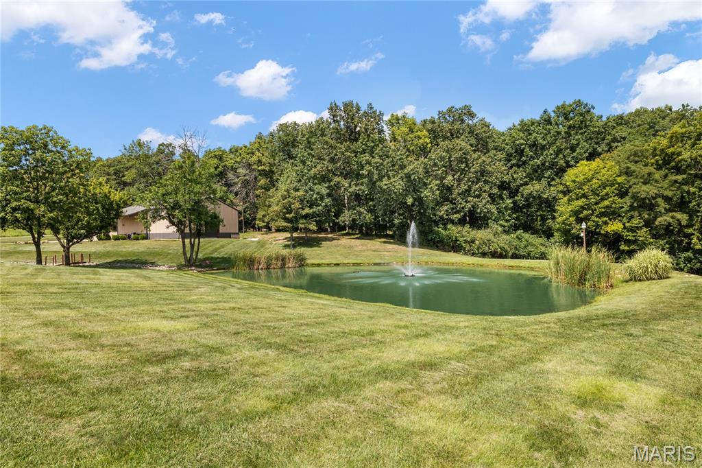 570 Patriotic Trail Property Photo 13