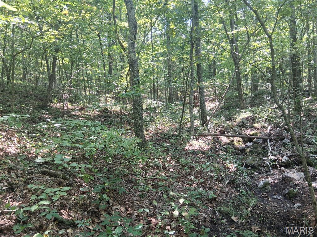 002 Cr 68 Tract 2 Property Photo 6