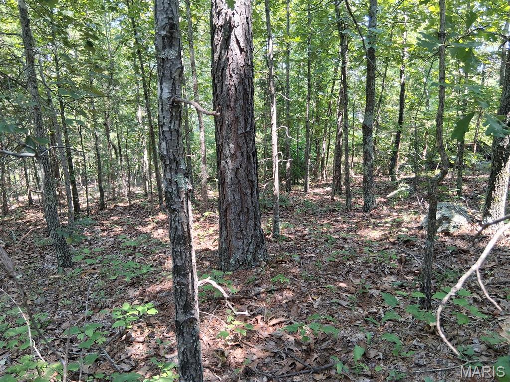 002 Cr 68 Tract 2 Property Photo 9