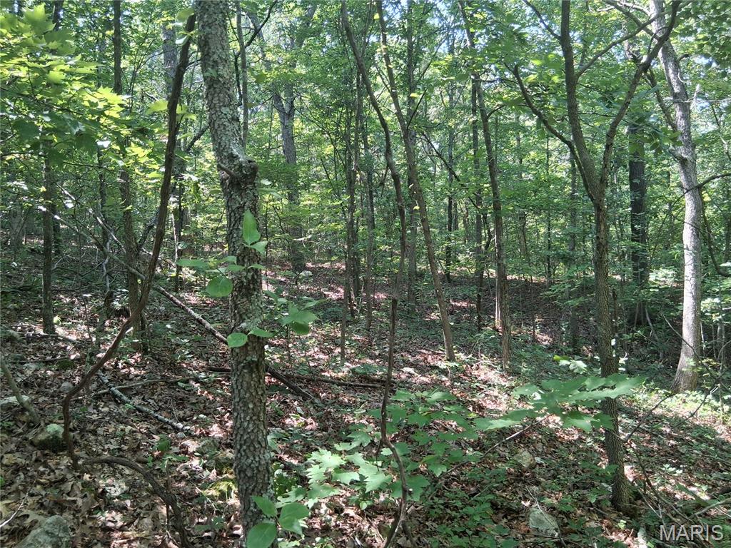 002 Cr 68 Tract 2 Property Photo 10
