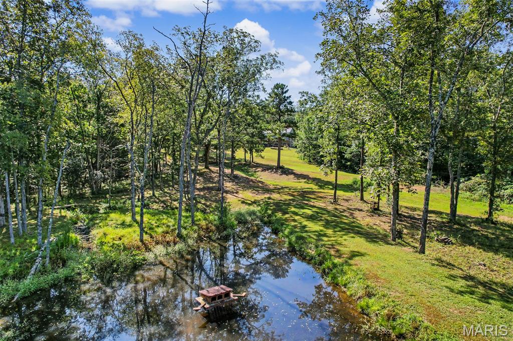 10602 Buford Bottom Road Property Photo 3
