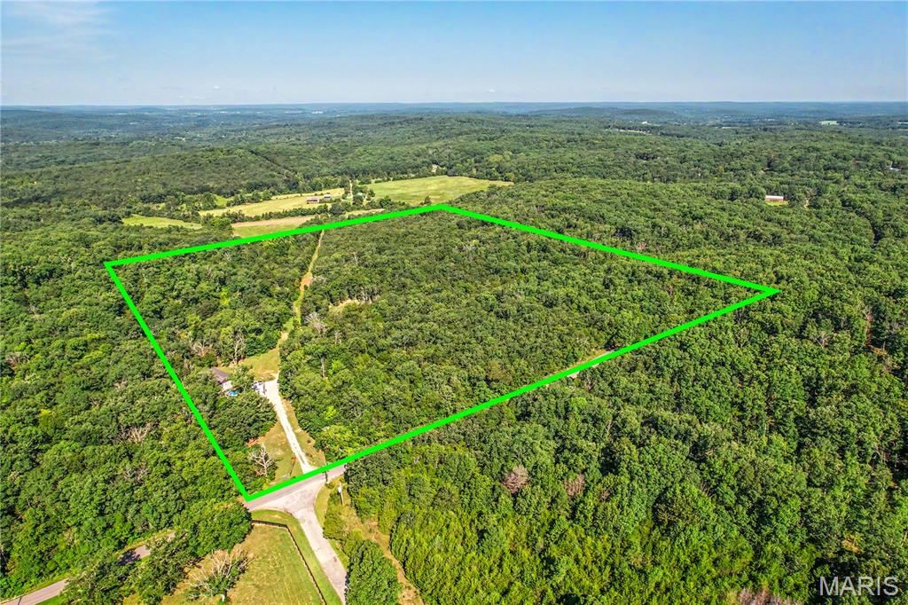 10602 Buford Bottom Road Property Photo 5