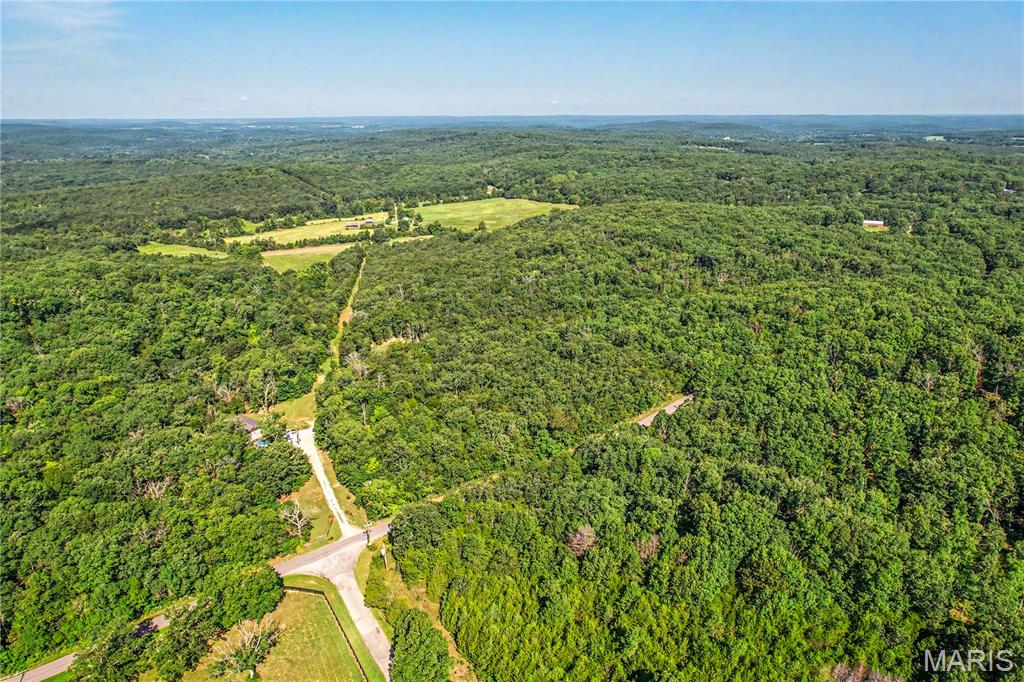 10602 Buford Bottom Road Property Photo 6