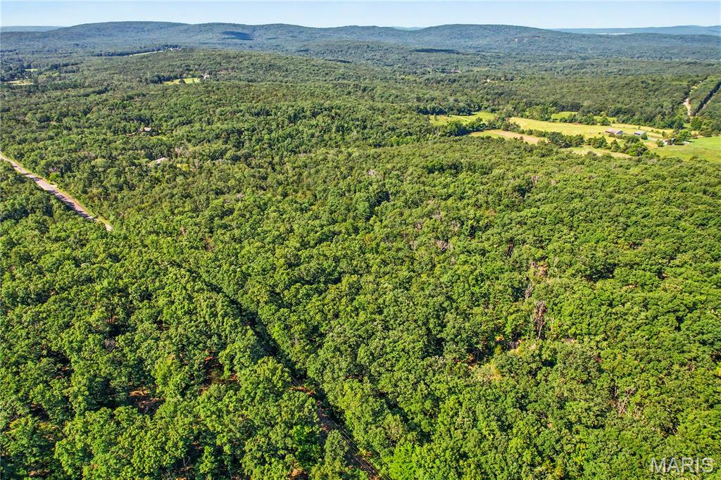 10602 Buford Bottom Road Property Photo 8
