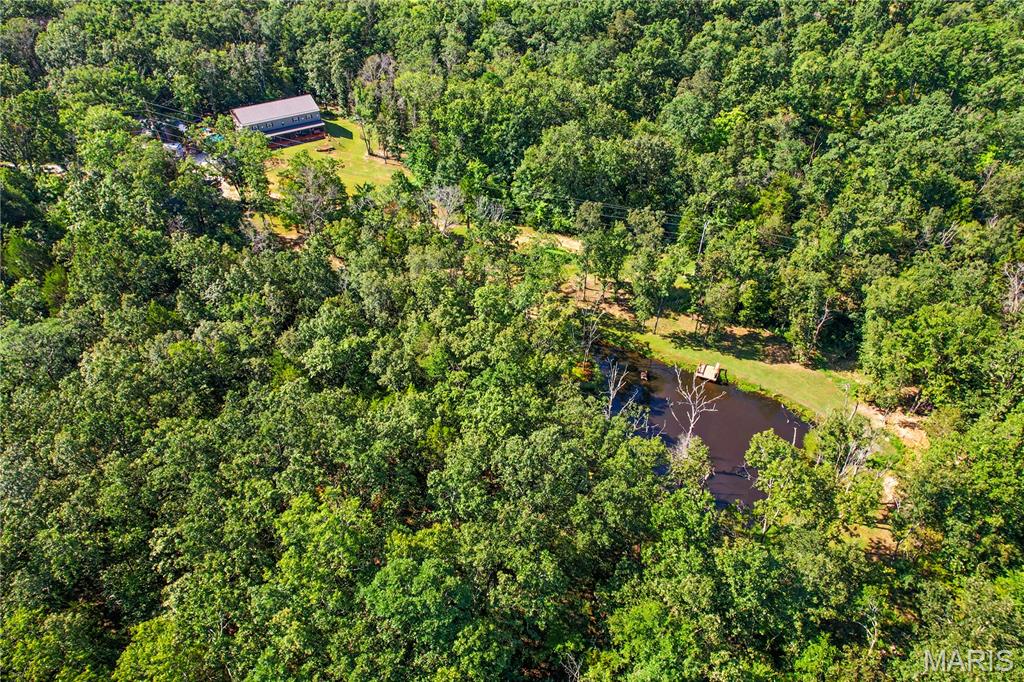 10602 Buford Bottom Road Property Photo 43