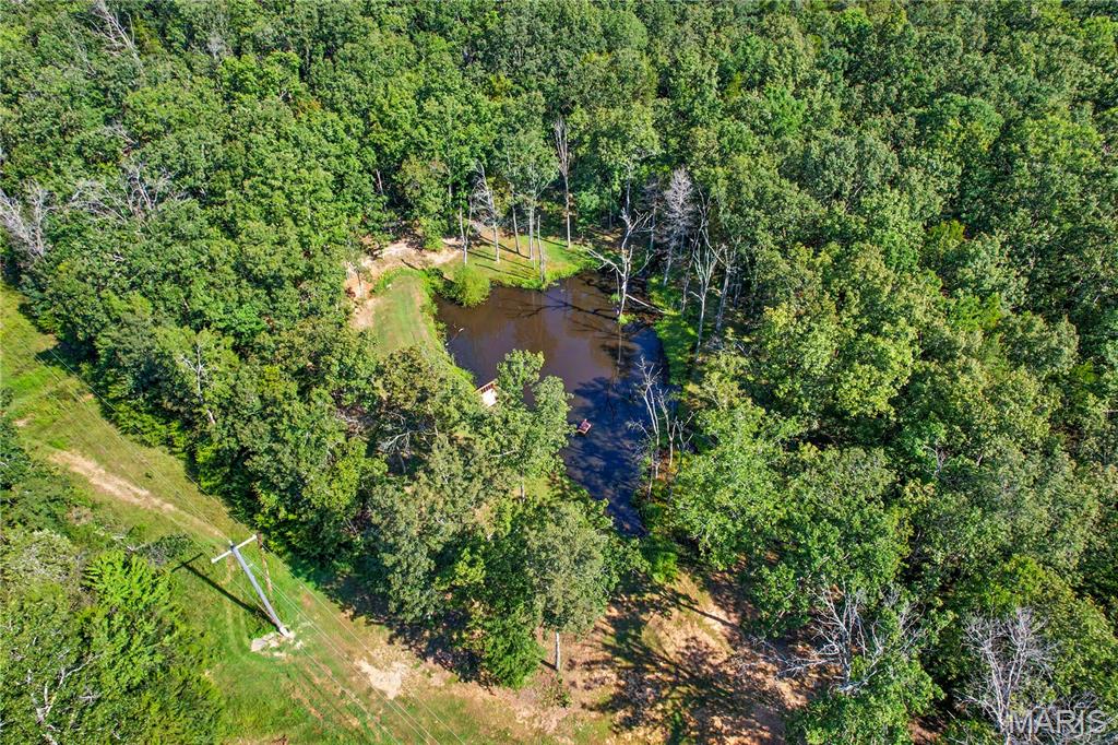 10602 Buford Bottom Road Property Photo 45