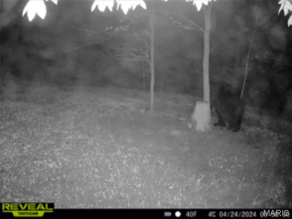 10602 Buford Bottom Road Property Photo 46