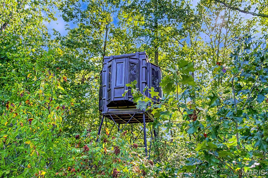 10602 Buford Bottom Road Property Photo 49