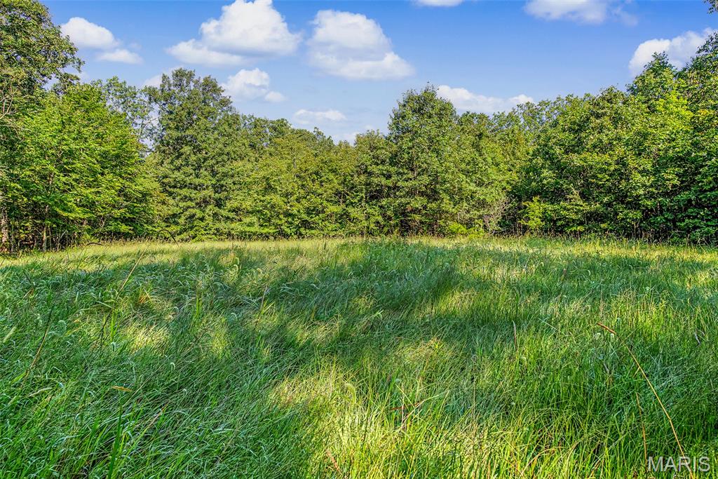 10602 Buford Bottom Road Property Photo 51