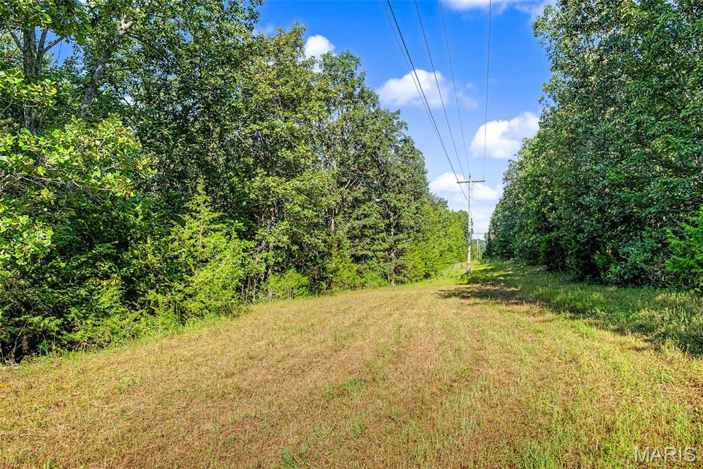 10602 Buford Bottom Road Property Photo 52