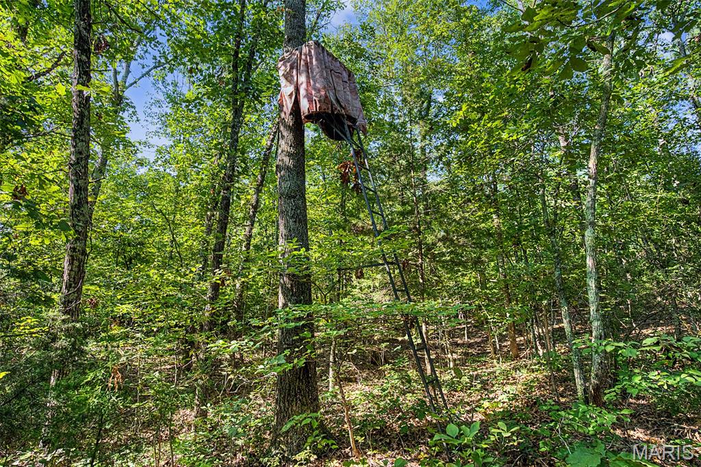 10602 Buford Bottom Road Property Photo 53