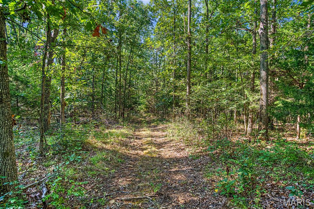 10602 Buford Bottom Road Property Photo 61