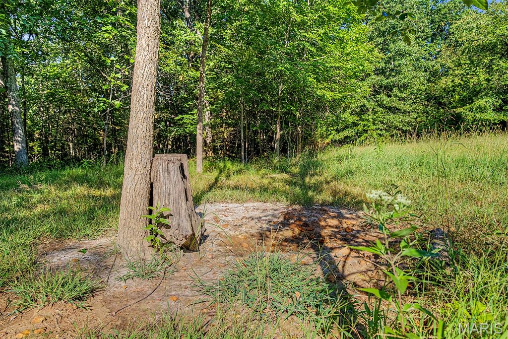 10602 Buford Bottom Road Property Photo 62