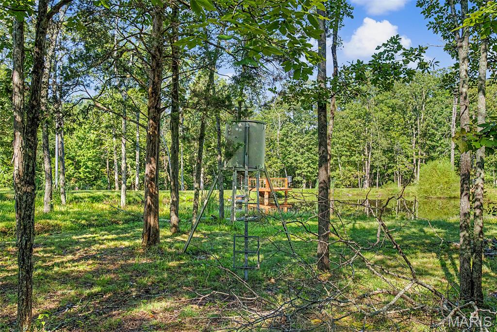 10602 Buford Bottom Road Property Photo 65