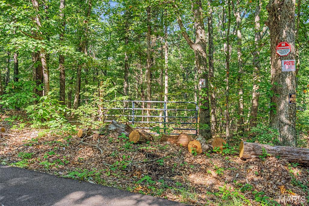 10602 Buford Bottom Road Property Photo 66