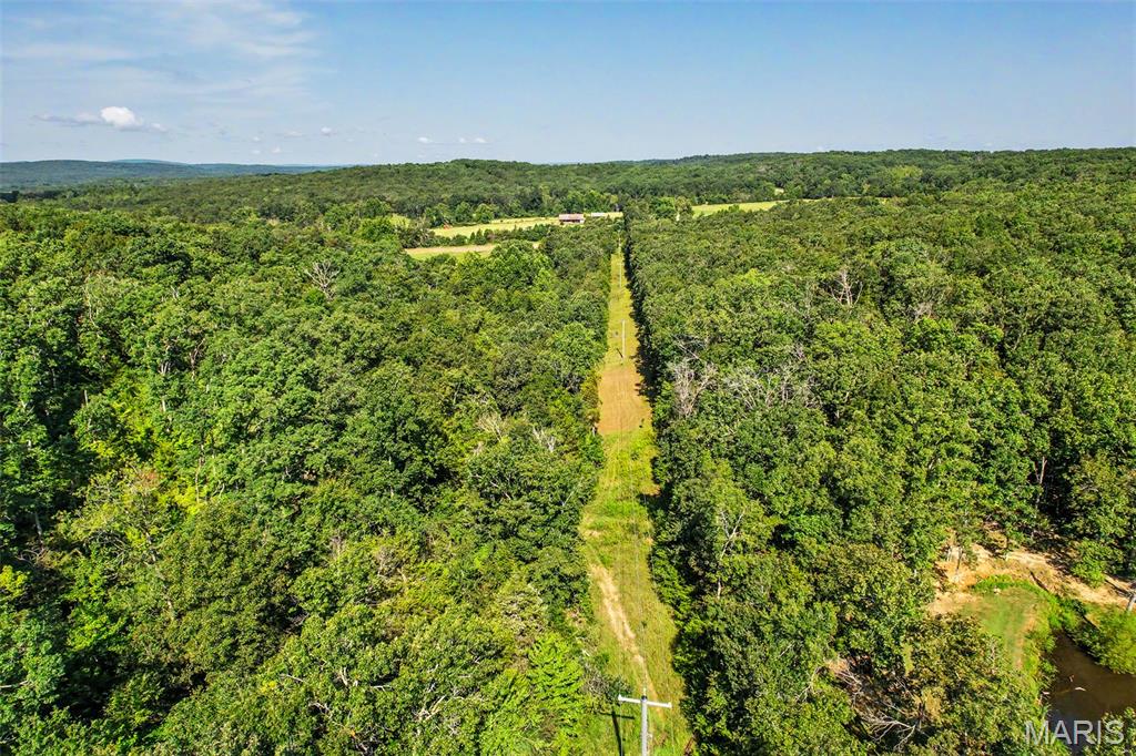 10602 Buford Bottom Road Property Photo 68