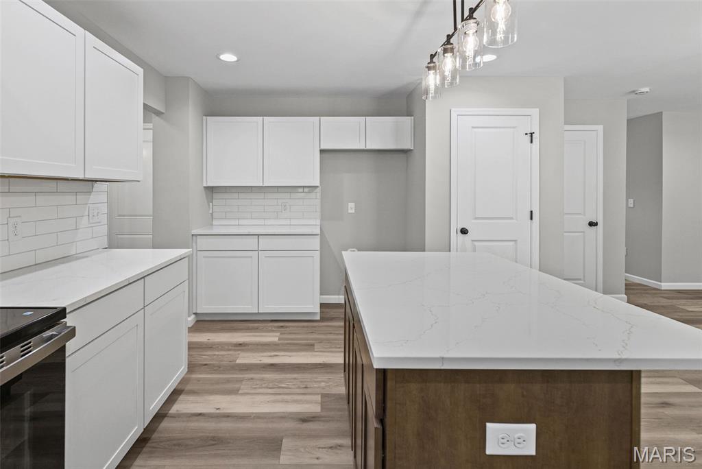 208 Bunkum Woods Drive Property Photo 19