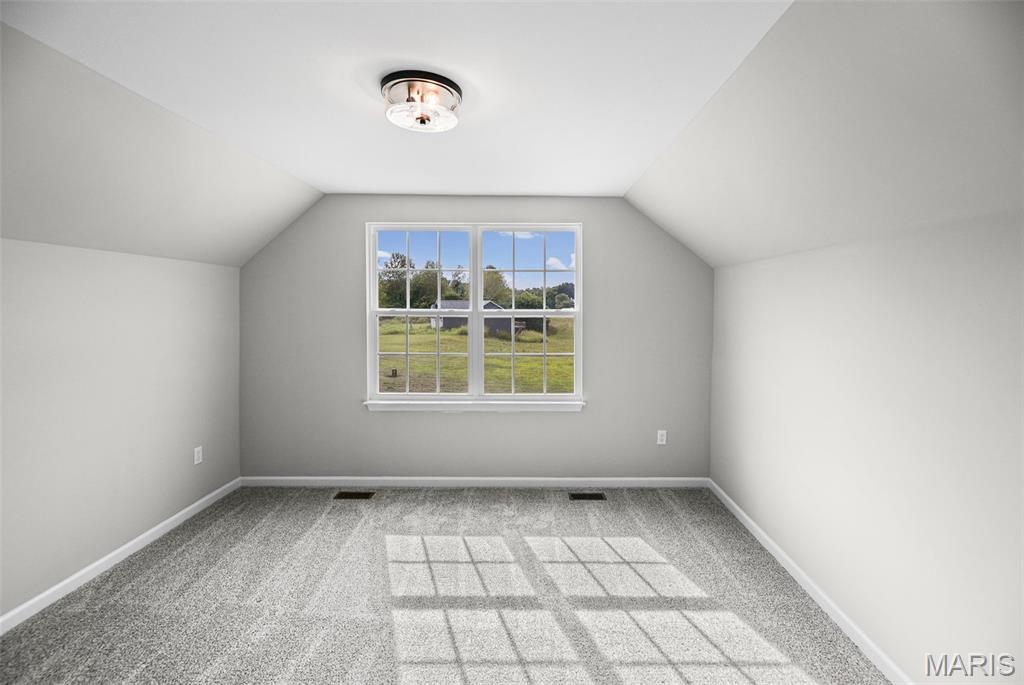 208 Bunkum Woods Drive Property Photo 27