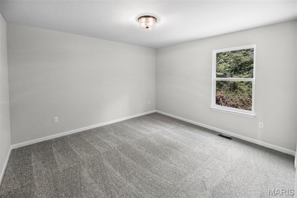208 Bunkum Woods Drive Property Photo 29