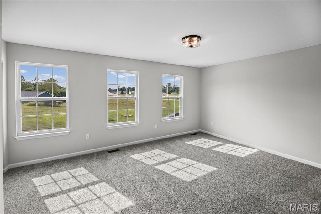 208 Bunkum Woods Drive Property Photo 31
