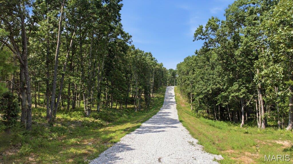 31315 Corri Road Property Photo 1