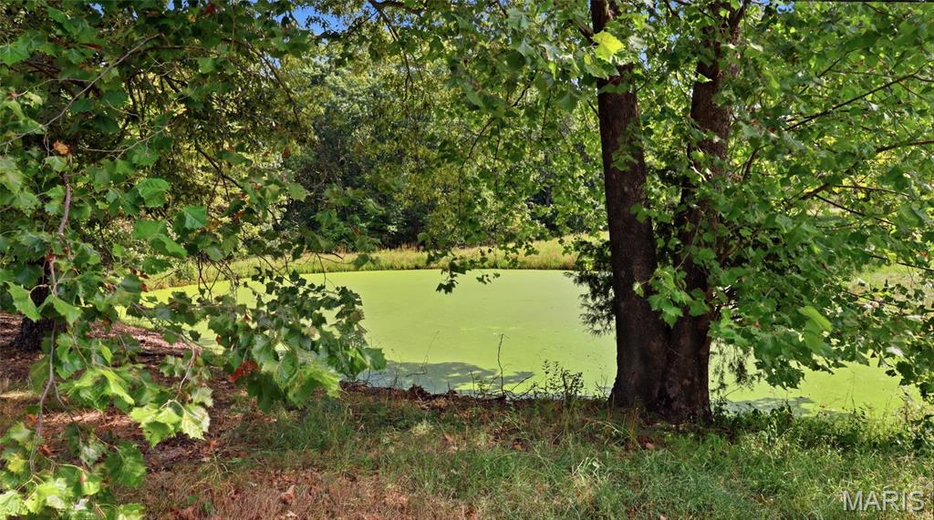 134 Mcintire Road Property Photo 40