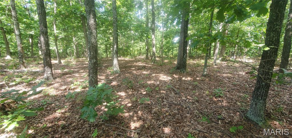 26054989 Property Photo 2