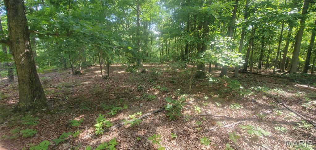 26054989 Property Photo 3