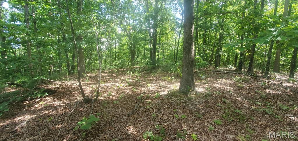 26054989 Property Photo 4
