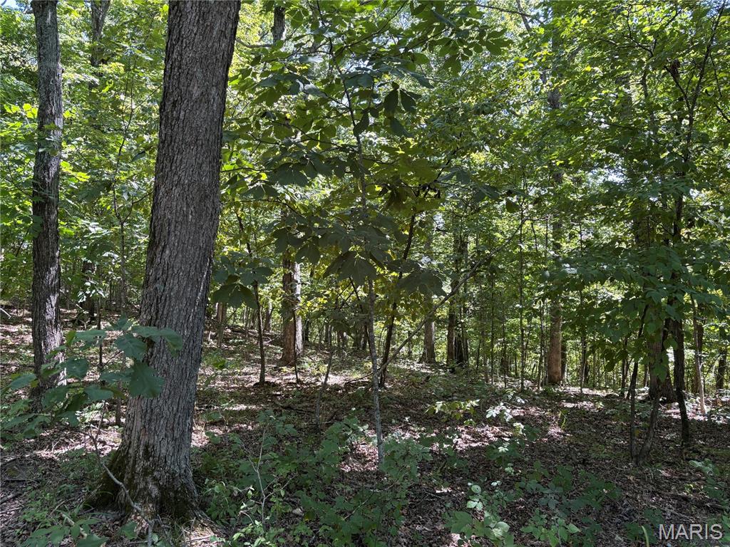 5.49 Acres T Warren Property Photo 1