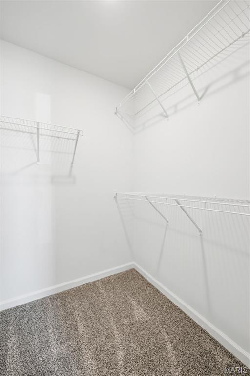 1011 Samwise Street Property Photo 34