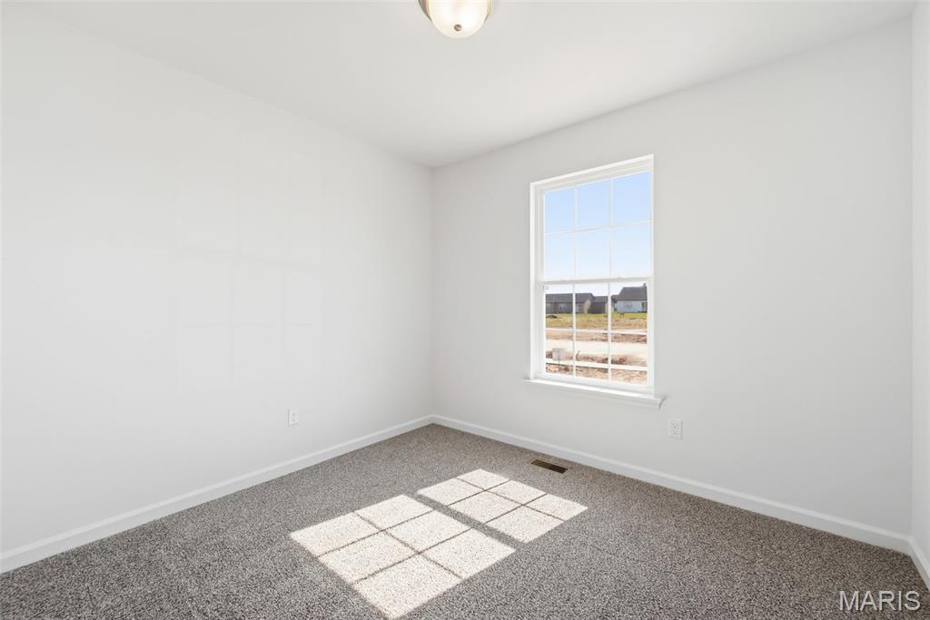 1011 Samwise Street Property Photo 35