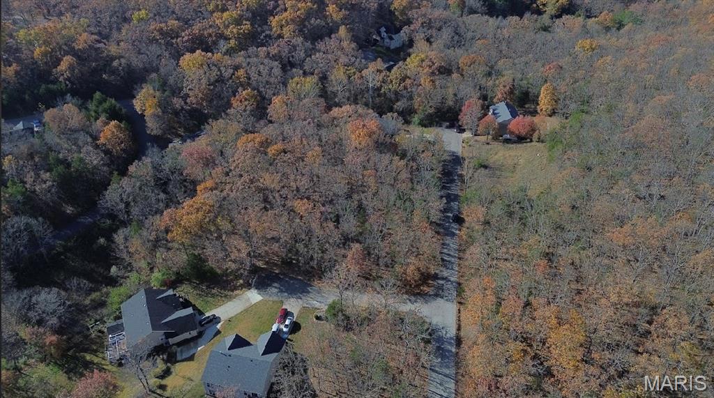 Lot 111// 9486 Pea Ridge Drive Property Photo 1