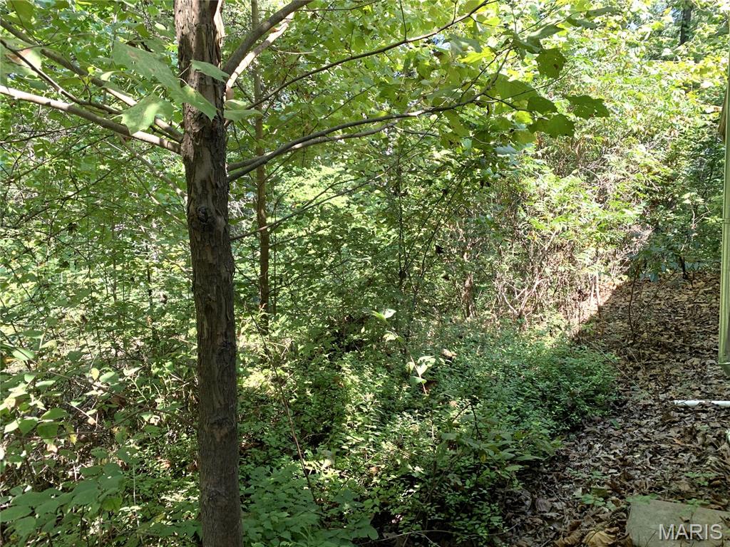 37 Meadow Drive Property Photo 19