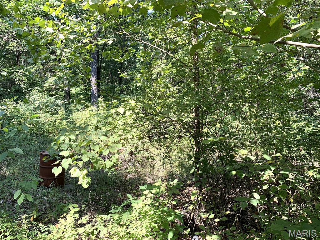 37 Meadow Drive Property Photo 20