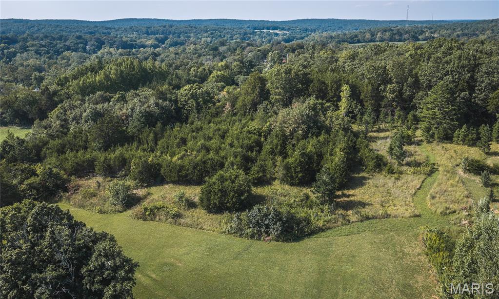 10341 Bone Road Property Photo 39
