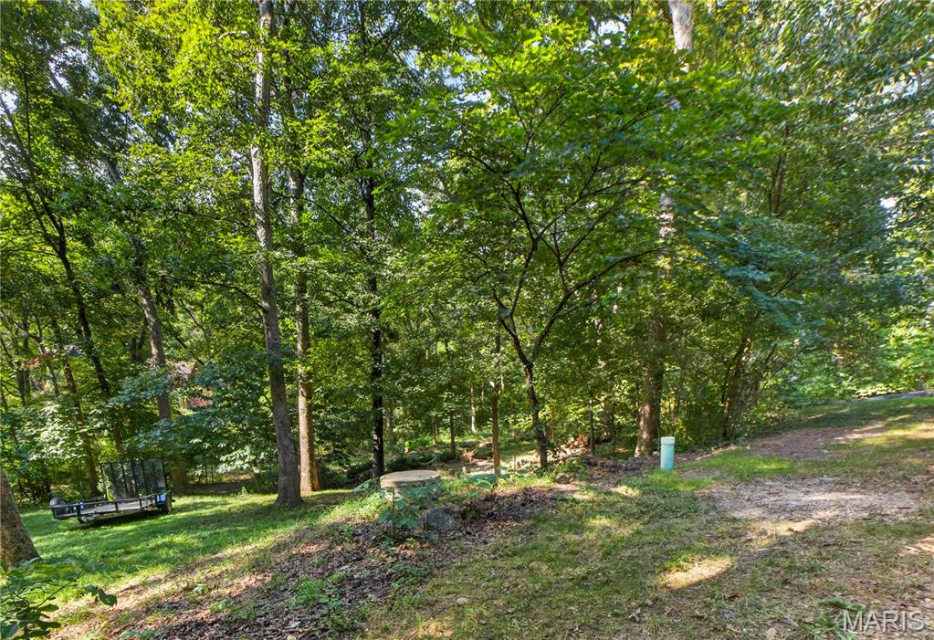 19334 Ossenfort Court Property Photo 46