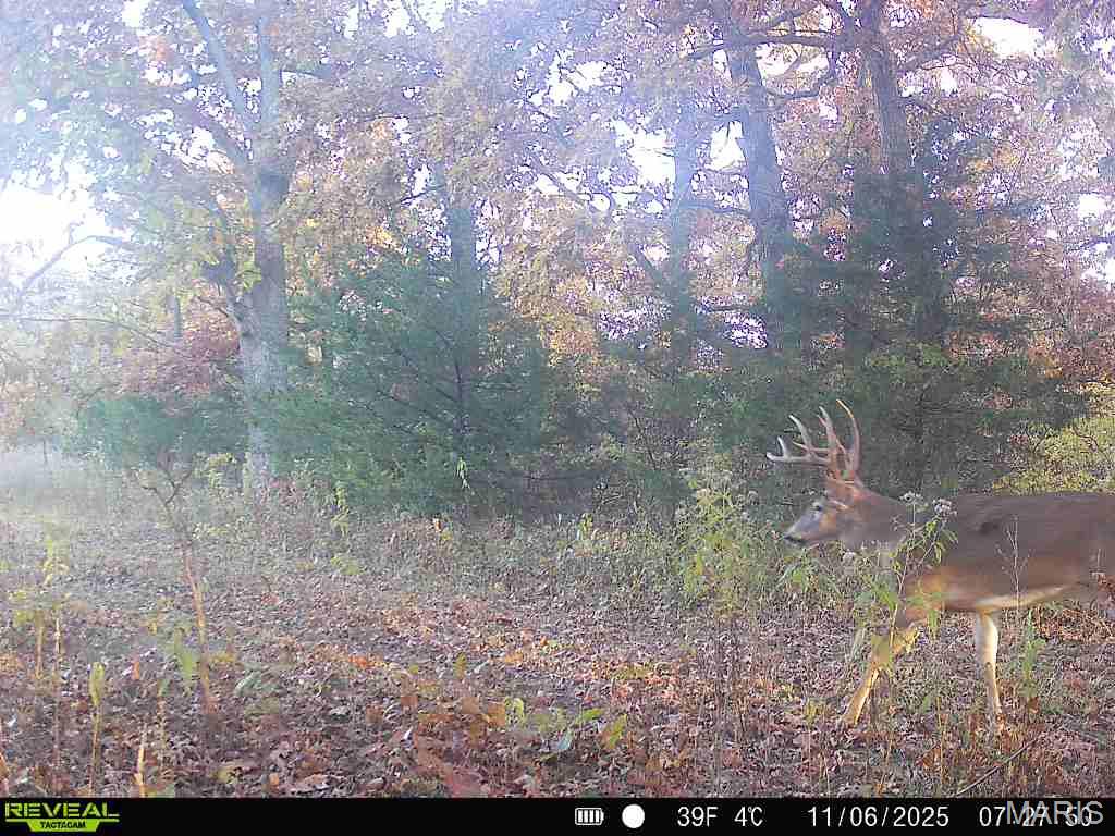 26301 Maple Drive Property Photo 54
