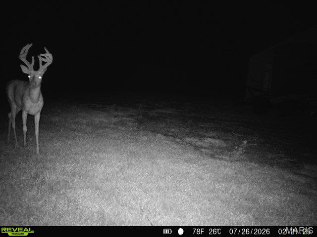 26301 Maple Drive Property Photo 57