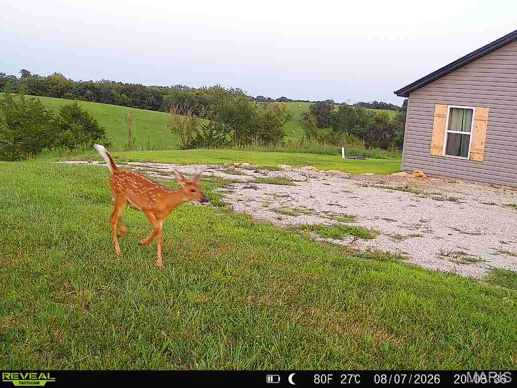 26301 Maple Drive Property Photo 59