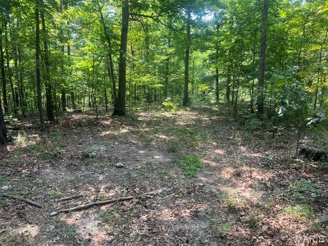 0 County Road 341 Property Photo 1