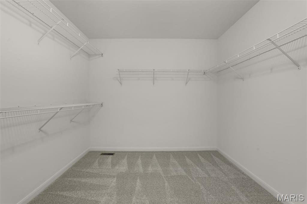 681 Zumwalt Crossing Property Photo 39
