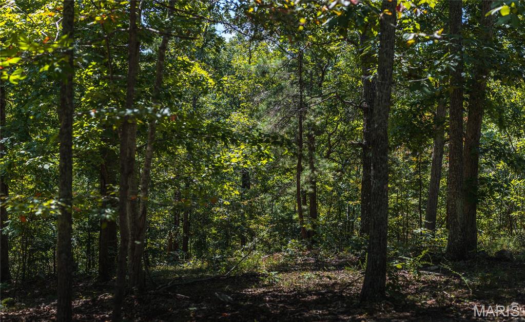 301 State Ridge Property Photo 4