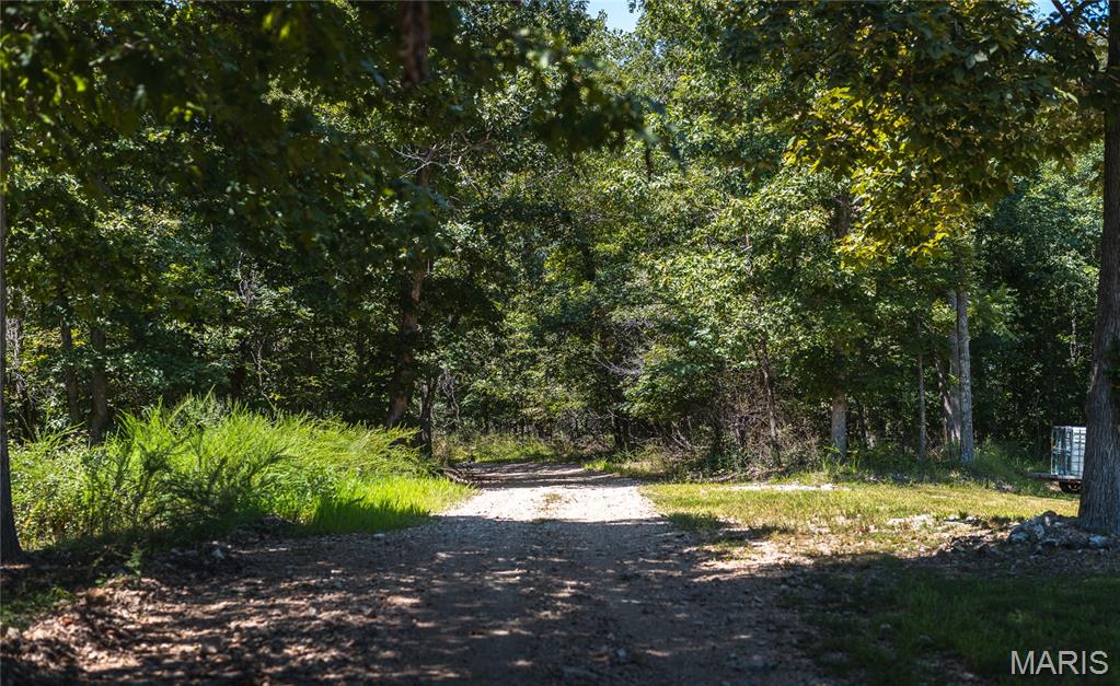 301 State Ridge Property Photo 25