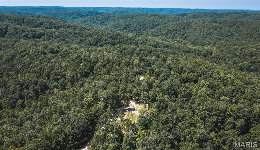 301 State Ridge Property Photo 31