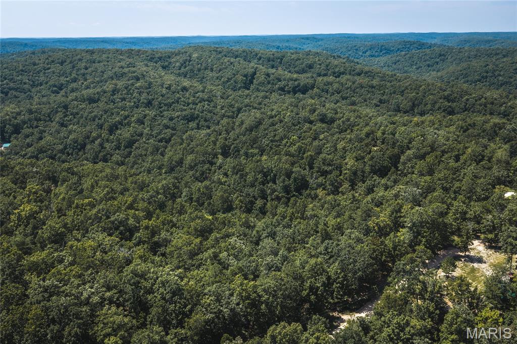 301 State Ridge Property Photo 32