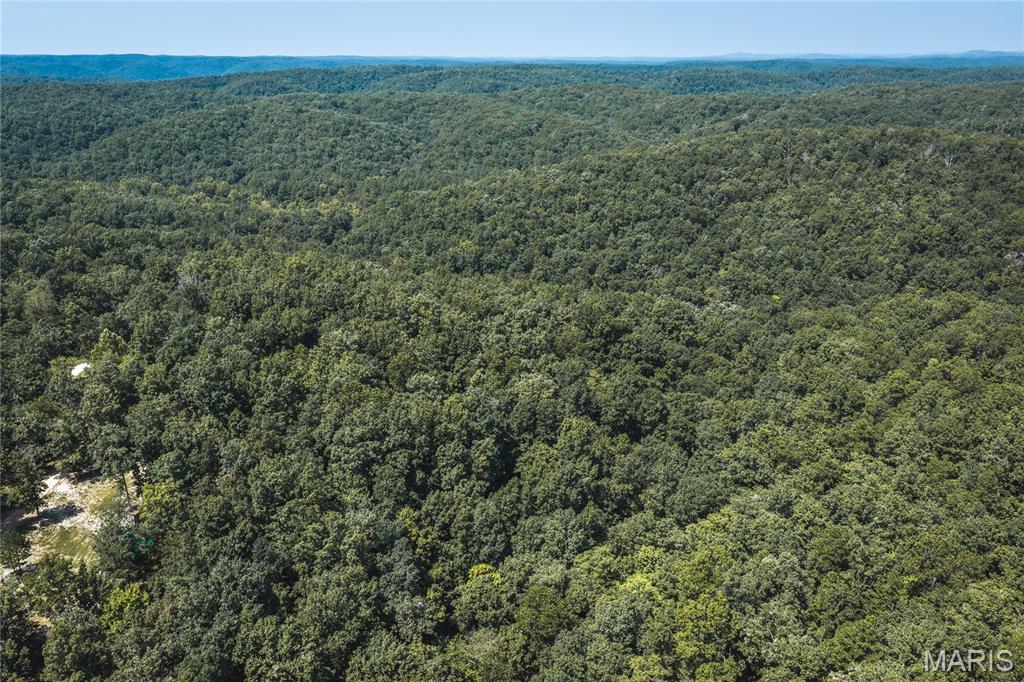 301 State Ridge Property Photo 33