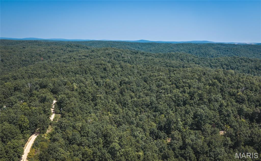 301 State Ridge Property Photo 37