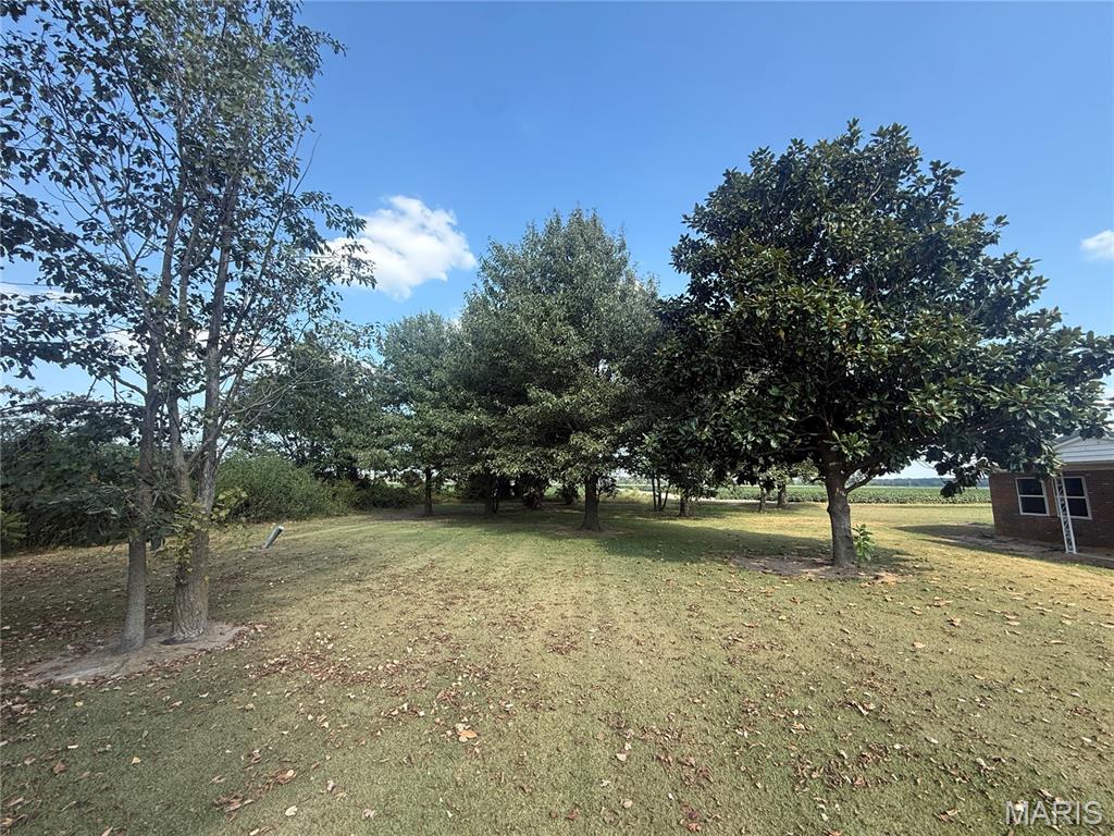 620 Dock Street Property Photo 35